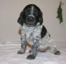 dsc07099.jpg
