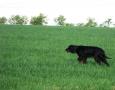 img-0759.jpg